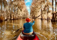 Mind and Meditation: Techniq for a Calmer Lif
